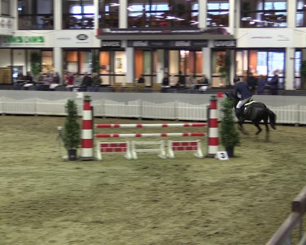 Reitturnier Münster-Handorf 2019