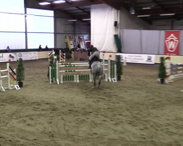 Reitturnier Münster-Handorf 2019