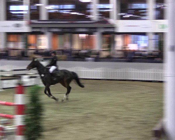 Reitturnier Münster-Handorf 2019