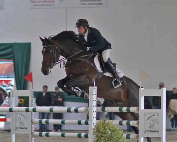 jumper Collindro R (Bavarian, 2004, from Collin L)