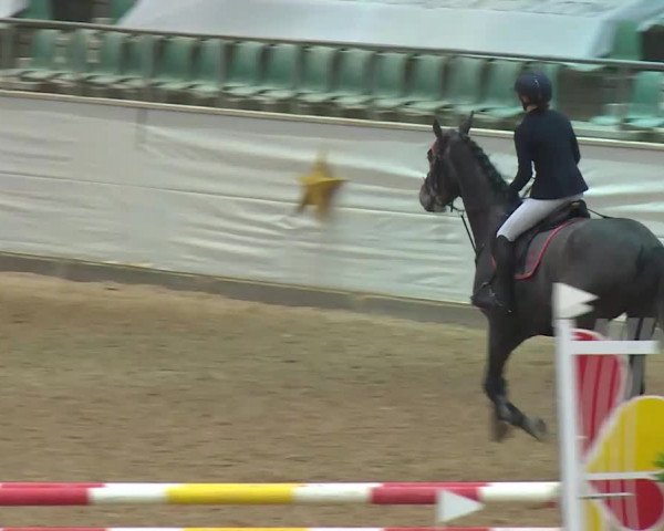 Reitturnier Kreuth/Opf. 2019