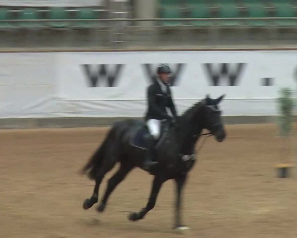Reitturnier Kreuth/Opf. 2019