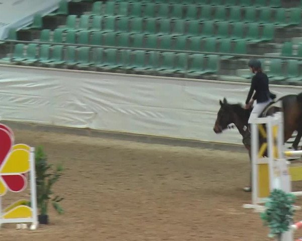 Reitturnier Kreuth/Opf. 2019