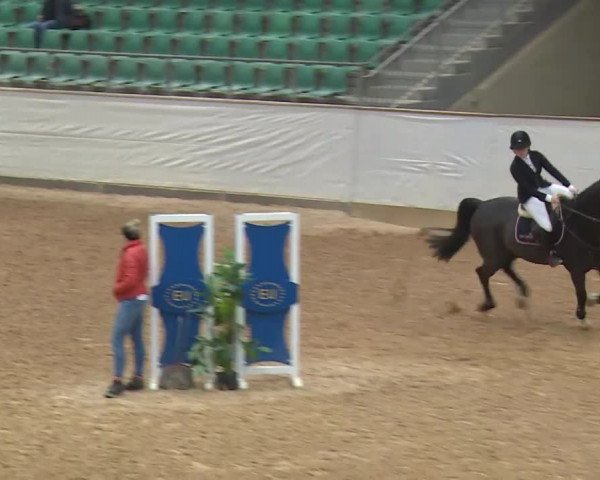 Reitturnier Kreuth/Opf. 2019