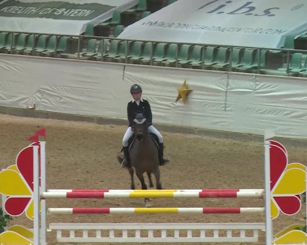 Reitturnier Kreuth/Opf. 2019