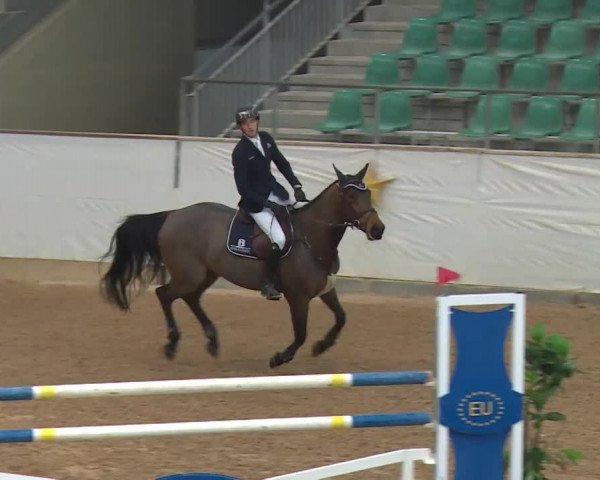 Reitturnier Kreuth/Opf. 2019