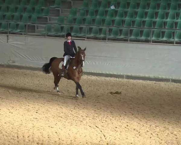 Reitturnier Kreuth/Opf. 2019