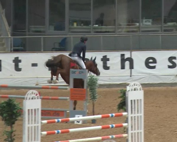 Reitturnier Kreuth/Opf. 2019