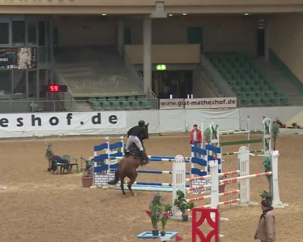 Reitturnier Kreuth/Opf. 2019