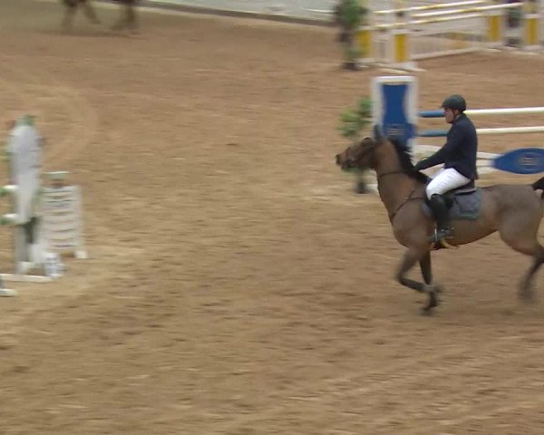 Reitturnier Kreuth/Opf. 2019