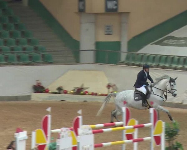 Reitturnier Kreuth/Opf. 2019