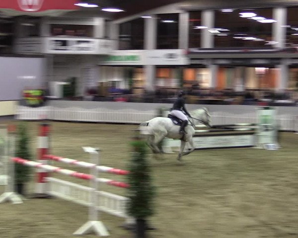 Reitturnier Münster-Handorf 2019