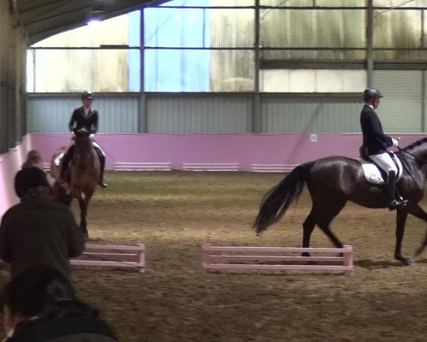 Reitturnier Troisdorf - Haus Rott 2019