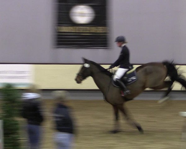 Reitturnier Münster-Handorf 2019