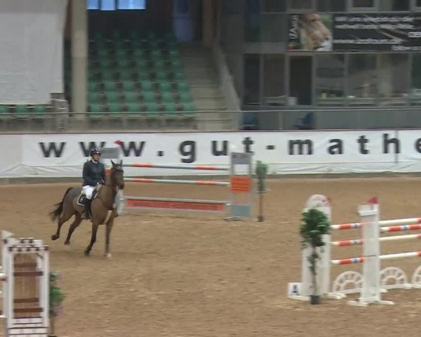 Reitturnier Kreuth/Opf. 2019