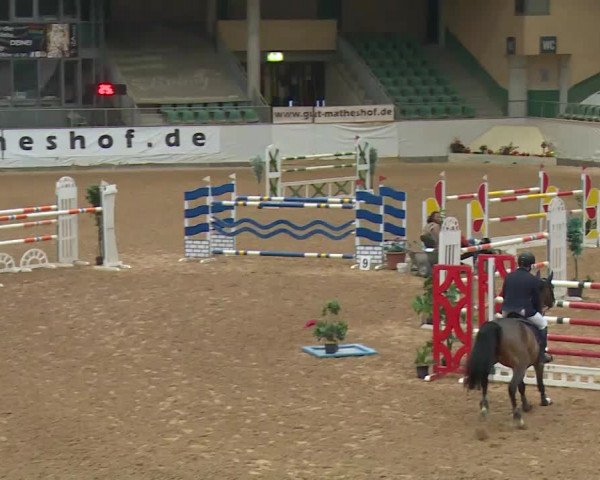 Reitturnier Kreuth/Opf. 2019