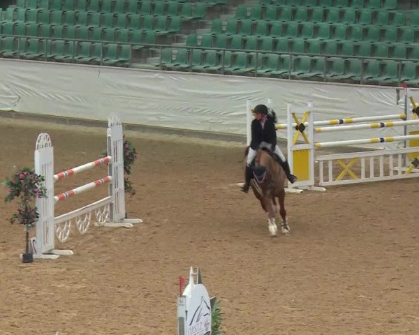 Reitturnier Kreuth/Opf. 2019