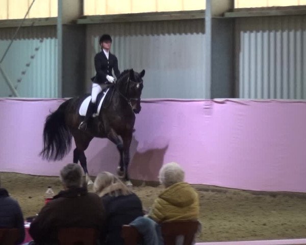 Reitturnier Troisdorf - Haus Rott 2019