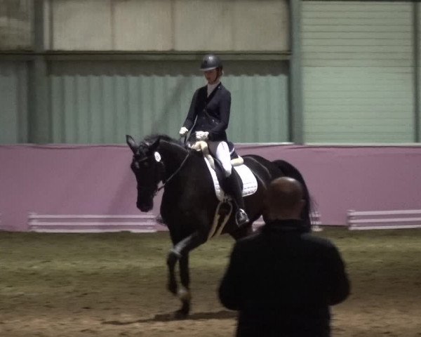 Reitturnier Troisdorf - Haus Rott 2019