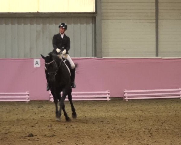 Reitturnier Troisdorf - Haus Rott 2019