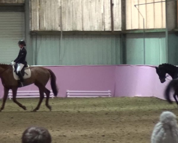 Reitturnier Troisdorf - Haus Rott 2019