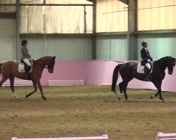 Reitturnier Troisdorf - Haus Rott 2019