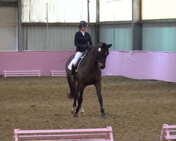 Reitturnier Troisdorf - Haus Rott 2019