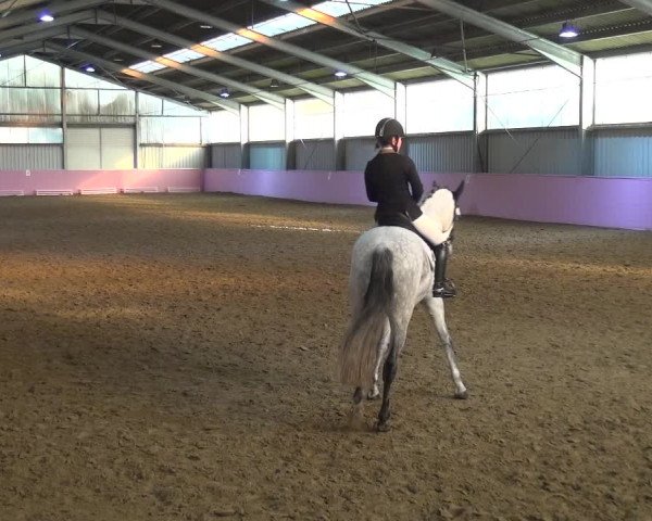 Reitturnier Troisdorf - Haus Rott 2019