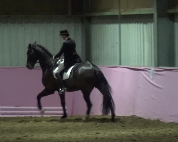 Reitturnier Troisdorf - Haus Rott 2019
