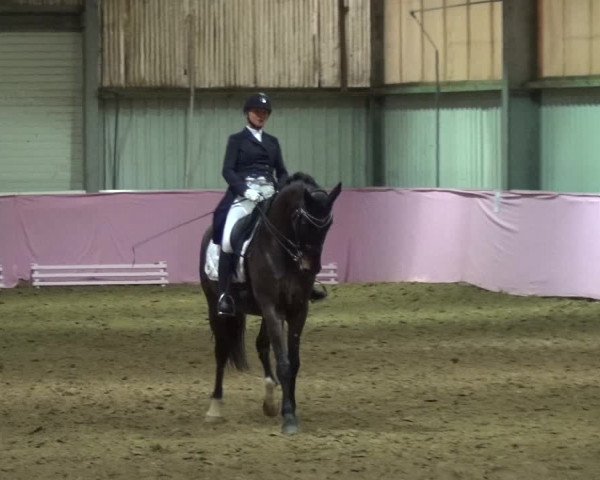 Reitturnier Troisdorf - Haus Rott 2019