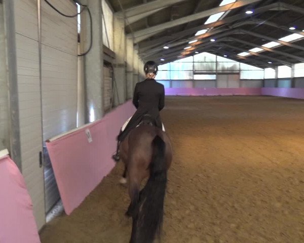 Reitturnier Troisdorf - Haus Rott 2019