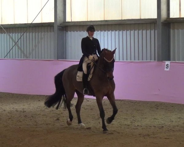 Reitturnier Troisdorf - Haus Rott 2019