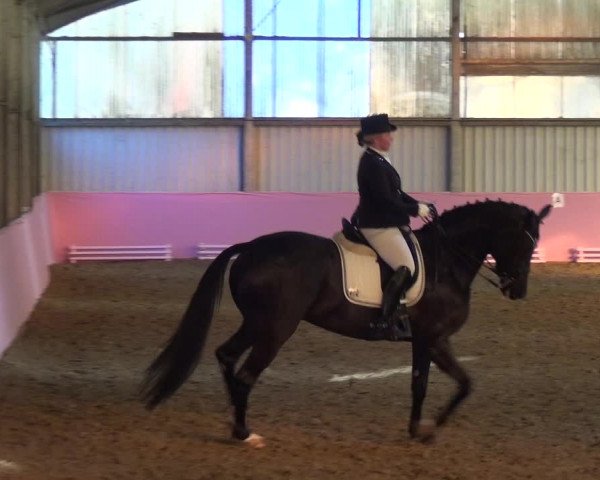 Reitturnier Troisdorf - Haus Rott 2019