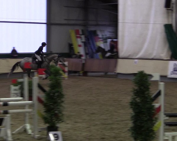 Reitturnier Münster-Handorf 2019