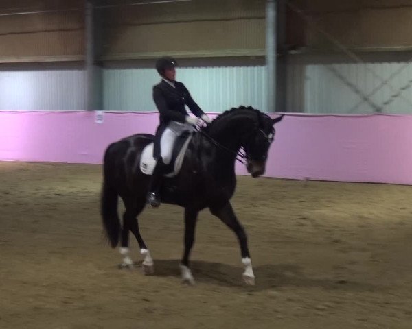 Reitturnier Troisdorf - Haus Rott 2019