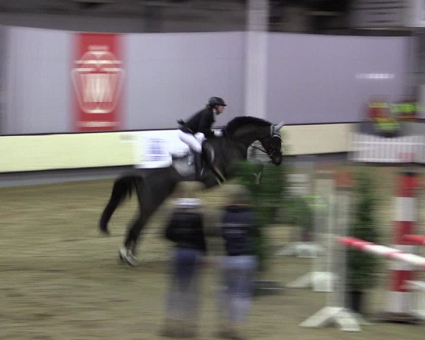 Reitturnier Münster-Handorf 2019