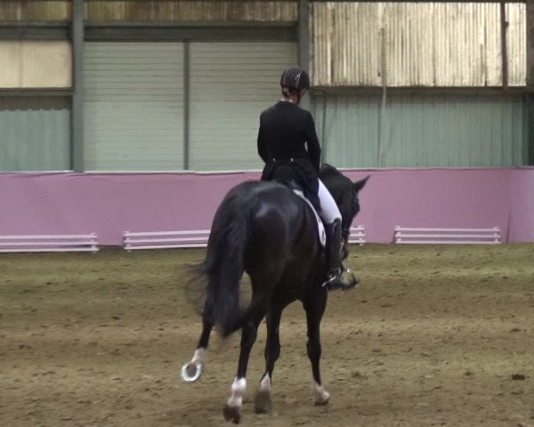 Reitturnier Troisdorf - Haus Rott 2019
