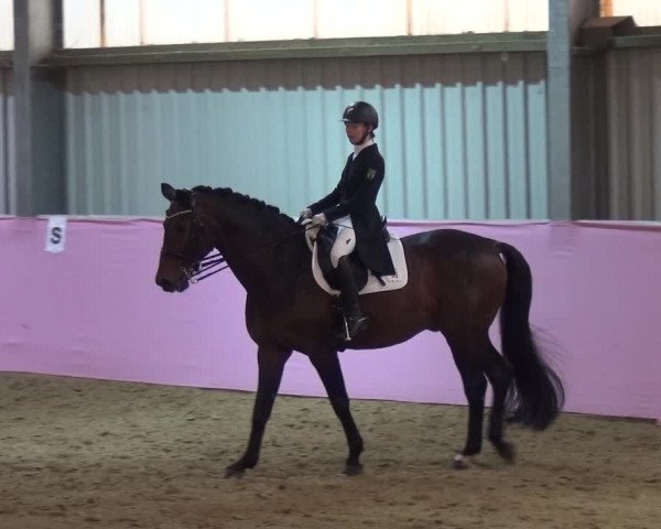 Reitturnier Troisdorf - Haus Rott 2019