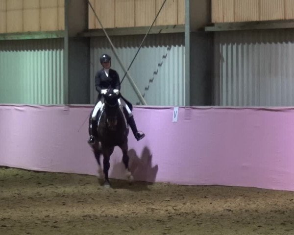 Reitturnier Troisdorf - Haus Rott 2019