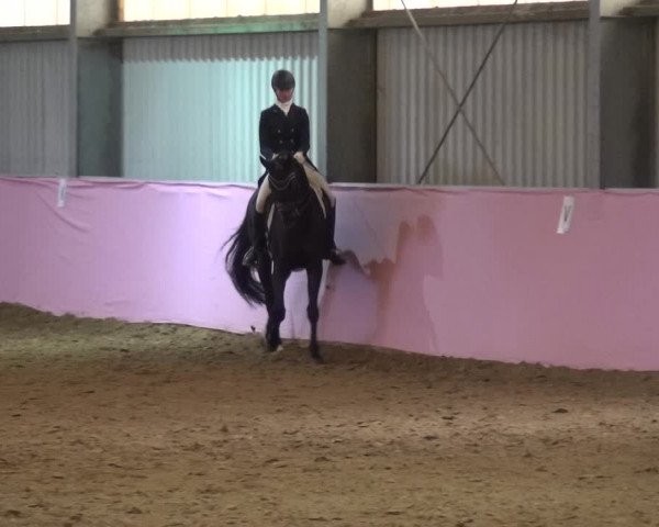 Reitturnier Troisdorf - Haus Rott 2019
