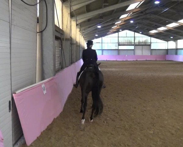 Reitturnier Troisdorf - Haus Rott 2019