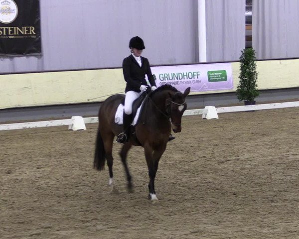 Reitturnier Münster-Handorf 2019