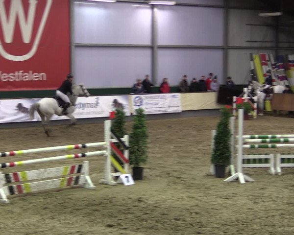 Reitturnier Münster-Handorf 2019