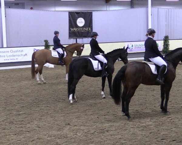 Reitturnier Münster-Handorf 2019