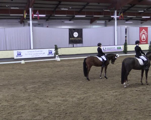 Reitturnier Münster-Handorf 2019