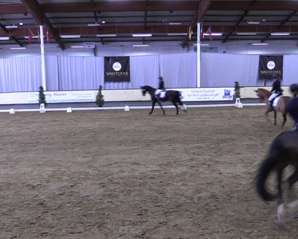 Reitturnier Münster-Handorf 2019