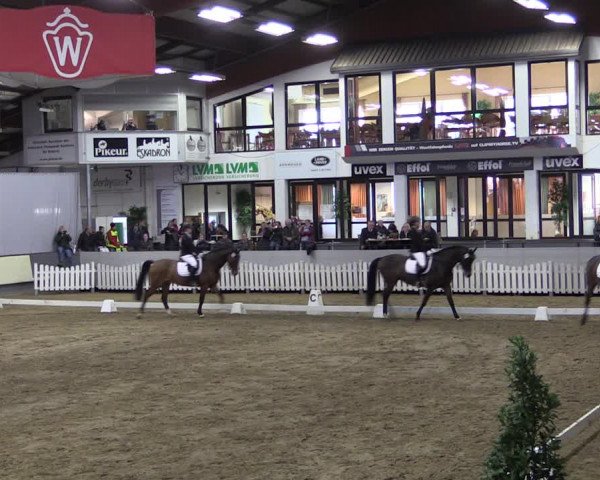 Reitturnier Münster-Handorf 2019