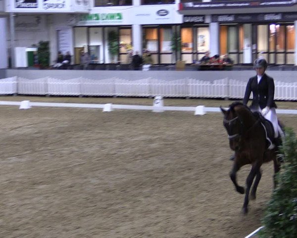 Reitturnier Münster-Handorf 2019