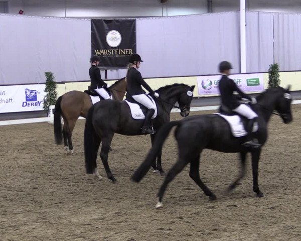 Reitturnier Münster-Handorf 2019