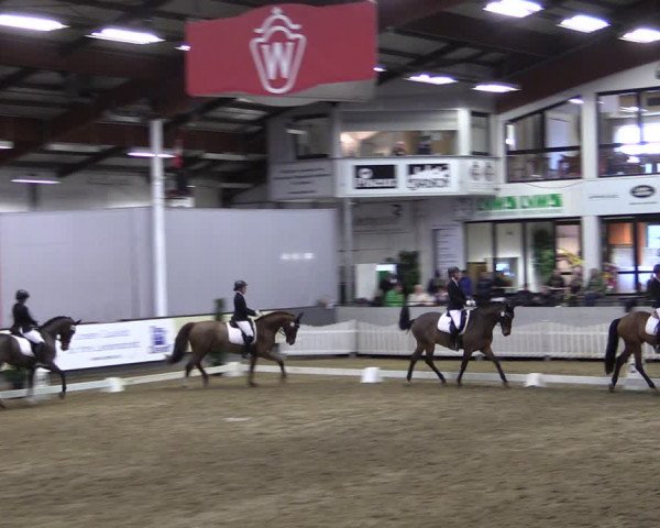 Reitturnier Münster-Handorf 2019